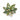 SPILLE 01.AC064|Colore:Salvia